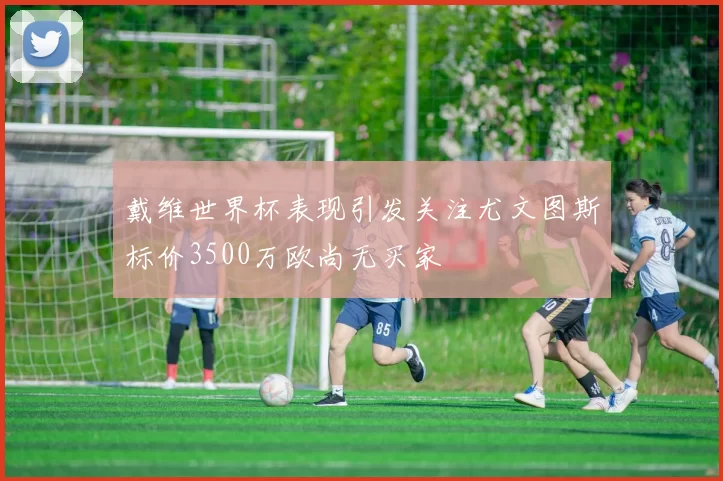 戴维世界杯表现引发关注尤文图斯标价3500万欧尚无买家