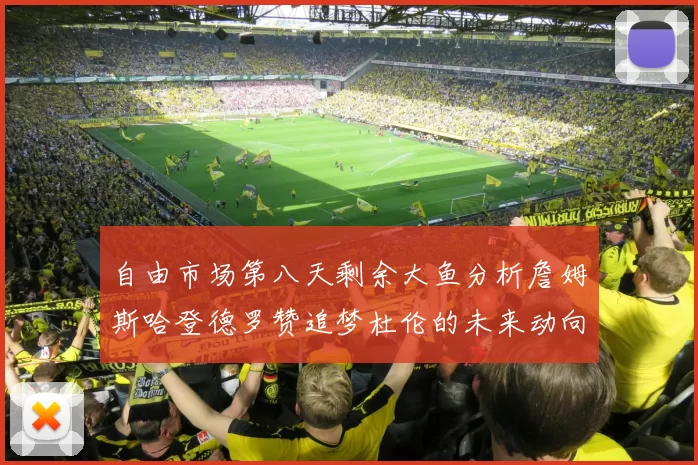 自由市场第八天剩余大鱼分析詹姆斯哈登德罗赞追梦杜伦的未来动向